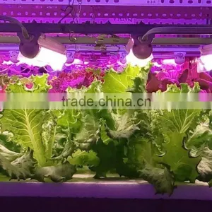 VANQLED Indoor Horticulture Farm LED Lighting 30w 4ft With Daisy-chain,CE,RoHS Approved thumbnail-5