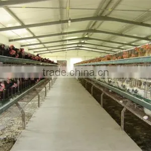 China Steel Structure Chicken House thumbnail-5