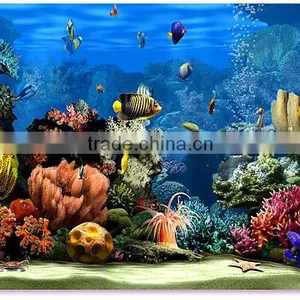 Full Automatic Fish Food Machinery, Fish Food Making Machine thumbnail-1