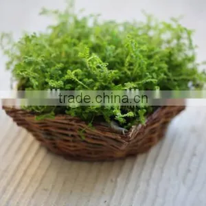 Iron Frame Willow Body Wicker Baskets for Plants With Plastic Lining thumbnail-1