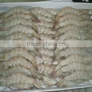 Hoso Vannamei Shrimp.jpg thumbnail-1
