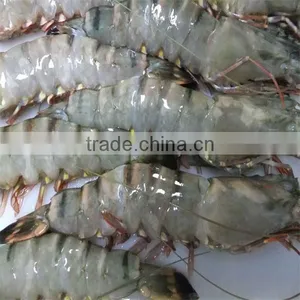 Frozen Shrimp Bisque Recipes thumbnail-1