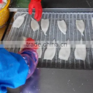 Frozen Tordarodes and Argentina Squid Tube U10,U5 thumbnail-3