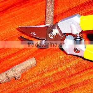 BY-pass Pruners(2) thumbnail-3