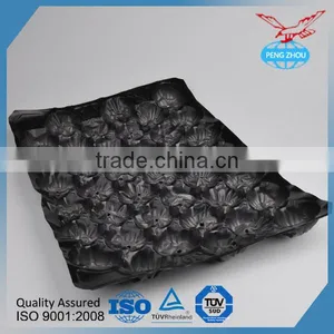 pp Corrugated Plastic Fruit Tray Divided Fruit Plastic Tray thumbnail-6