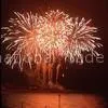 Professional Grade Outdoor Display Fireworks Un0336 1.4g Consumer Fireworks thumbnail-1