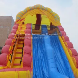 Inflatable Slip and Slide Inflatable Water Slide Axs-06 thumbnail-3