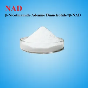 NAD β-Nicotinamide Adenine Dinucleotide//β-NAD thumbnail-1
