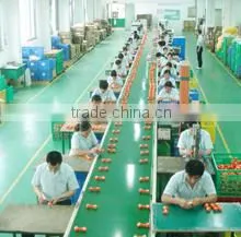 Shenzhen Multek Technology Limited company overview - view 3 thumbnail