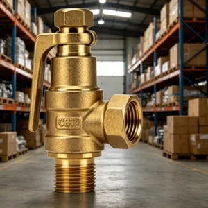 Marine External Thread Bronze Right-Angle Steam Safety Valve CBT3192-1983, 250°F Max Temperature thumbnail-4