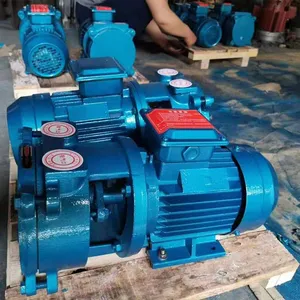 Luoji Pump Industry Supplies 2bv5131 Series Liquid Ring Vacuum Pump Units and Roots Vacuum Pumps thumbnail-1