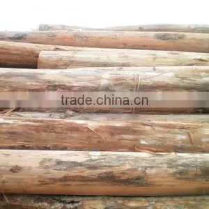 Big Sale High Quality Round Logs Kerung Laos Wood thumbnail-1