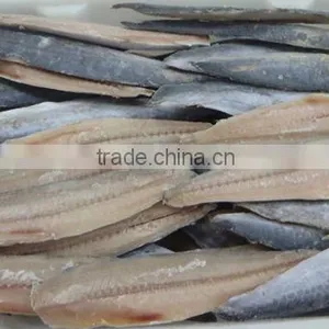Spanish Mackerel New Filelts thumbnail-4