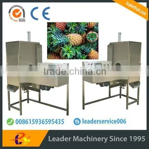 Leader Pineapple Peel and Pulp Separater With Low Power Consumption thumbnail-2