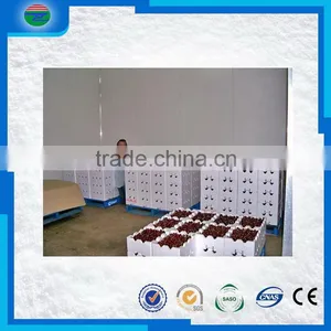 Bottom Price Trade Assurance Cold Room/cold Storage for Fruit thumbnail-1