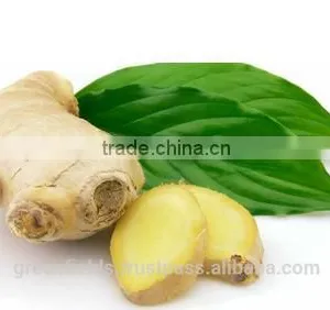 Yellow Essential Ginger Massage Oil thumbnail-1