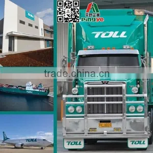 Parcel Package Express From Shantou Chaoyang Jieyang to Hungary by Dpex/Toll Dpex thumbnail-2