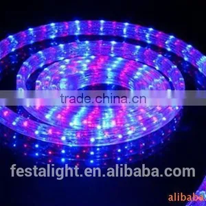 12V/24V/ 110/230v Color Changing LED Flat Rope Lights thumbnail-4