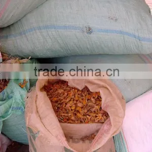 Slice Dried Turmeric From Indonesia. Good Taste and Cucurmin Content thumbnail-5