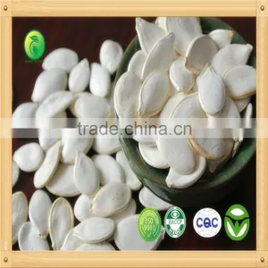 2015, Chinese Snow White Pumpkin Seeds Supply Directly From Factory thumbnail-1