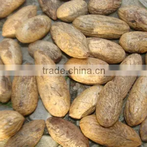 Raphia Nuts thumbnail-1
