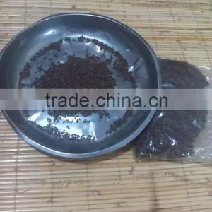 Ochroma Pyramidale Seeds, Balsa Seeds thumbnail-1