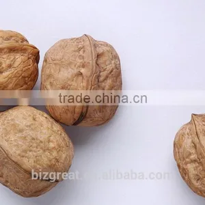 Supply With Chinese Bulk Walnuts in Shell for Sales thumbnail-3