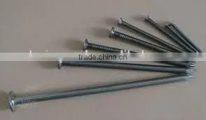 Low Price Good Quality Common Nail thumbnail-6