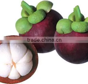 Fresh Mangosteen thumbnail-2