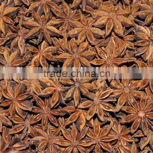 Star Anise thumbnail-1
