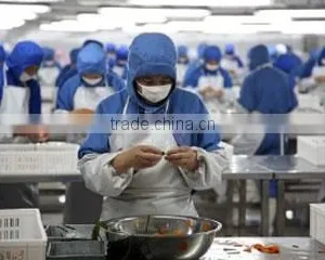 Qingdao LSXY Imp. & Exp. Co., Ltd. company overview - view 1 thumbnail