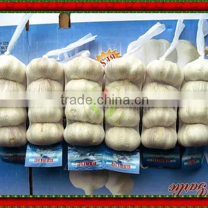 Supply Chinese Fresh Galic (in Carton) thumbnail-1
