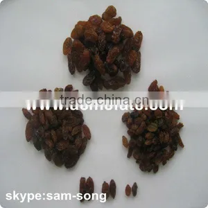 AAA Grade 95% Xinjiang Brown Raisin thumbnail-4