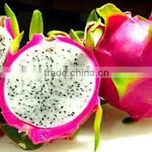 DRAGON FRUIT thumbnail-1