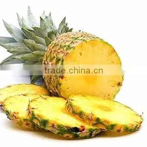 Pineapple Canned in Good Quality Standard thumbnail-4