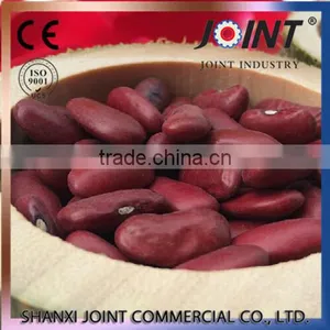 ECO- Friendly Organic England Dark Red Kidney Beans thumbnail-5