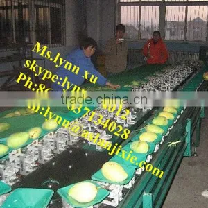 Apple Size Grading Machine / Fruit Polishing Sorting Machine thumbnail-1