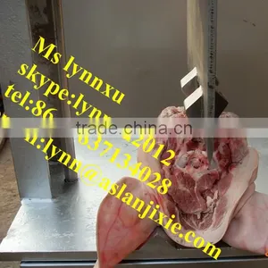 Pig Head Spliter Machine /pig Head Cutting Machine / Pig Head Splitting Machine thumbnail-4