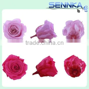 Handcraft Real Natural Colorful Preserved Dried Rose Flower in Gift Box thumbnail-5