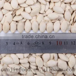 Shine Skin Pumpkin Seeds in Shell 10mm up thumbnail-6