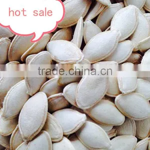 China Pumpkin Seeds in Shell Price thumbnail-1