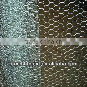Chicken Coop Galvanized Wire Mesh thumbnail-1