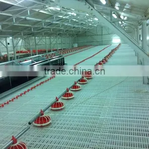Goldenest Automatic Egg Collection System Chicken Nesting Boxes Factory Price JCJ15-A02 thumbnail-6