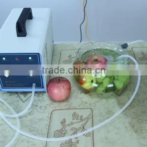 NEW! CE Approved Ozone Generator Sterilizer 2 G/h for Air and Water Purification thumbnail-5