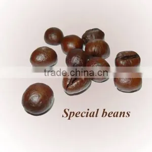 Roasted Coffee Bean thumbnail-3