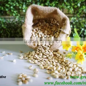 Cau Dat Caturra Coffee Beans With Fairtrade Certification thumbnail-1
