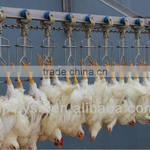 Halal Chickens Slaughtering Equipment for Abattoir House thumbnail-3