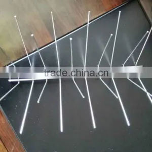 Stainless Steel Welded Bird Spike thumbnail-1