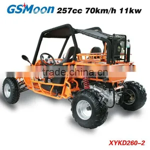 Powerfull 250cc go Kart With C.V.T System thumbnail-4