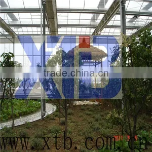 Vegetable-growing Plastic Film Greenhouse thumbnail-1